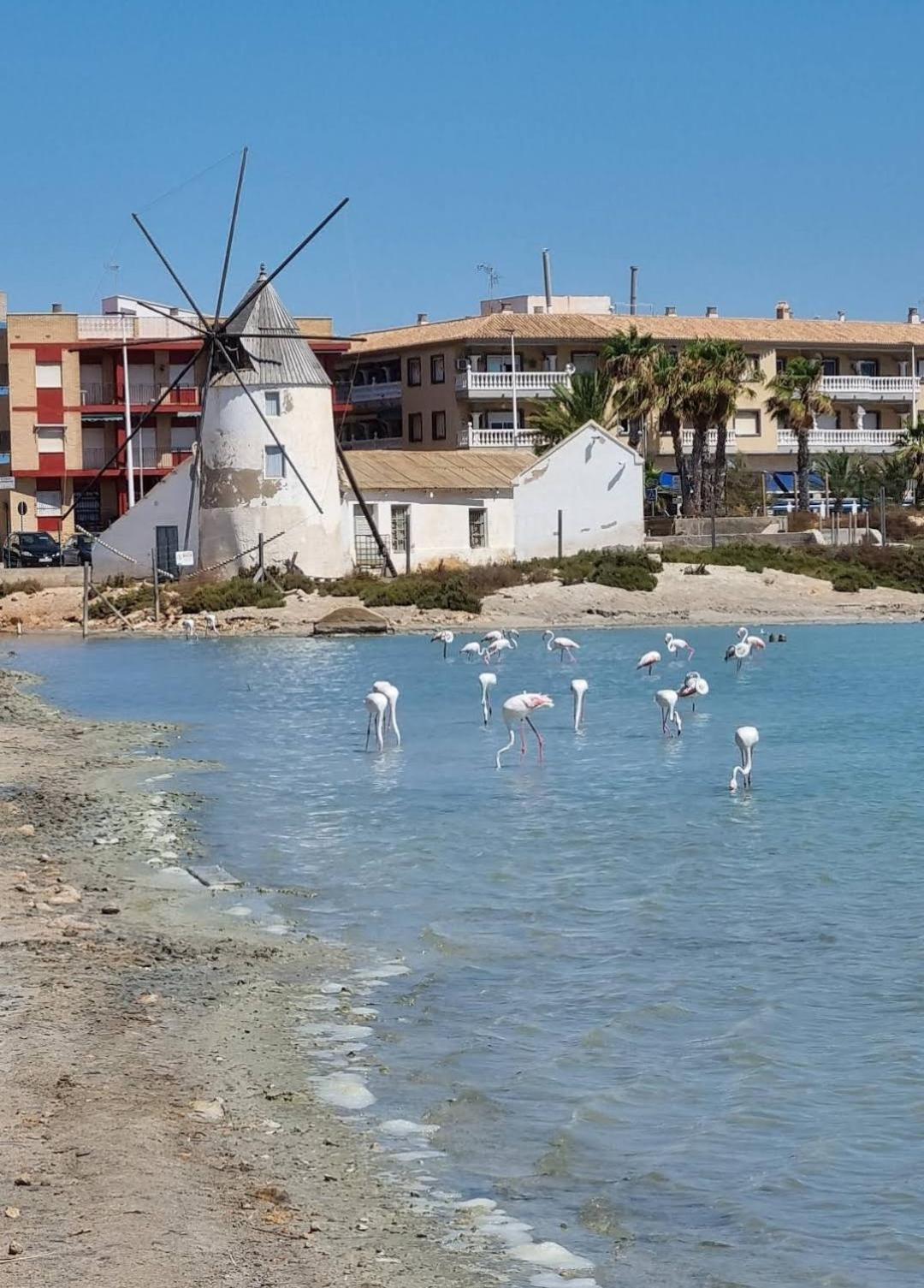 Apartmán Casa Del Sol San Pedro del Pinatar Exteriér fotografie